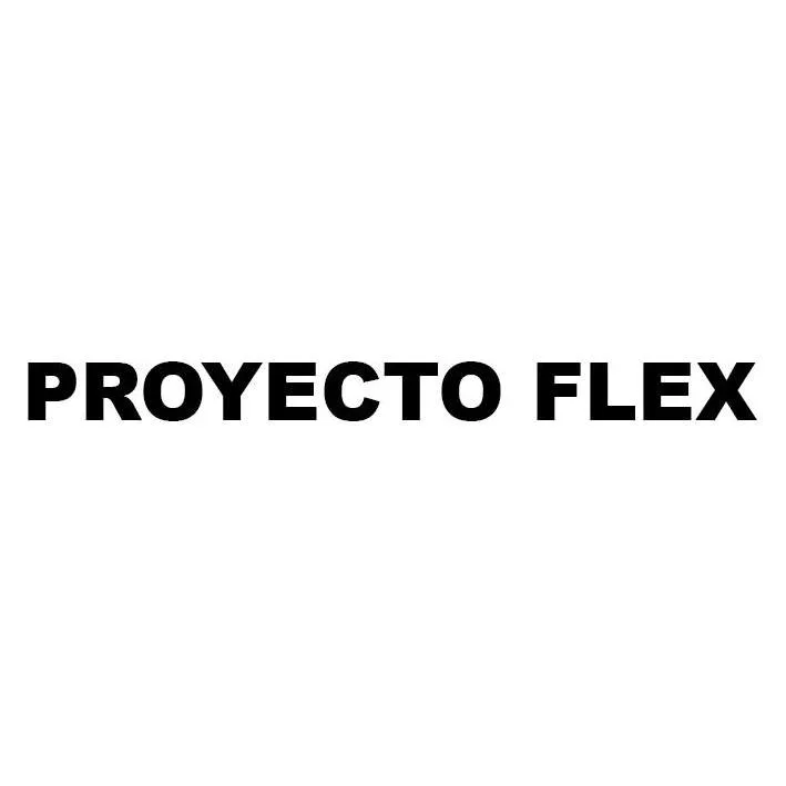 PROYECTO FLEX