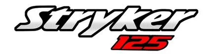 Stryker 125