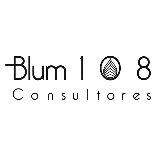 Blum 108 Consultores