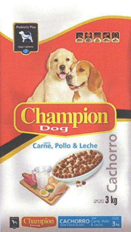 CHAMPION DOG