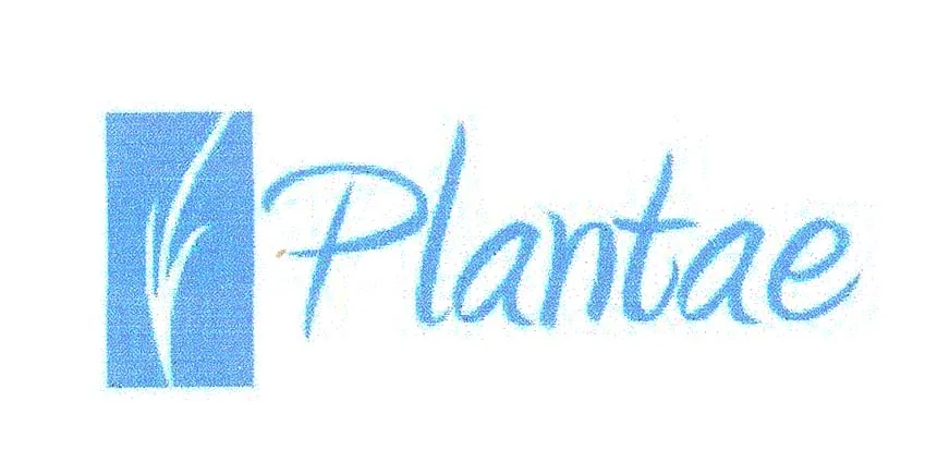 PLANTAE