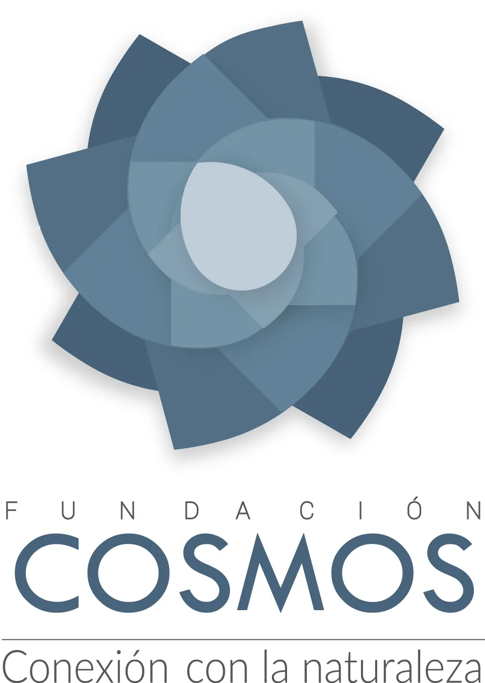 FUNDACIÓN COSMOS