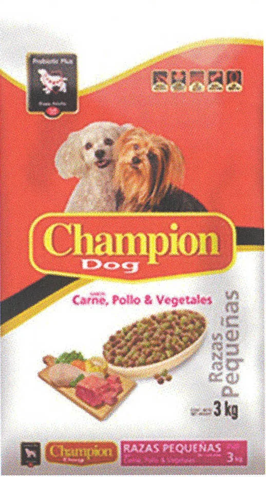CHAMPION DOG
