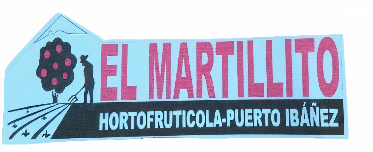 EL MARTILLITO HORTOFRUTICOLA-PUERTO IBÁÑEZ