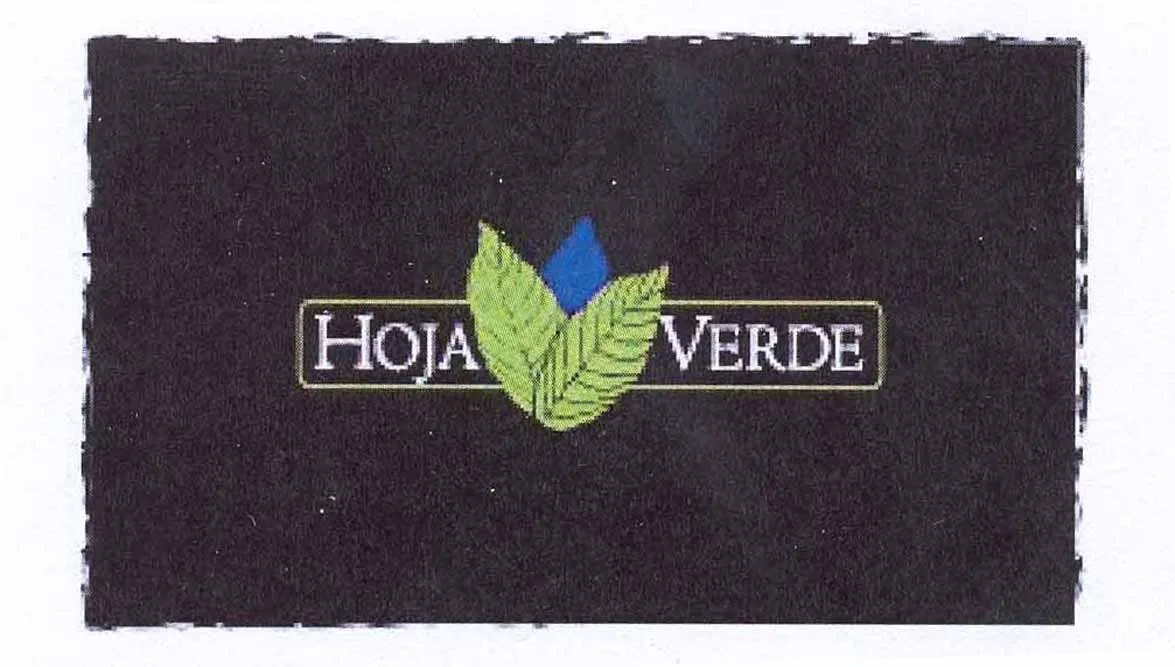 HOJA VERDE