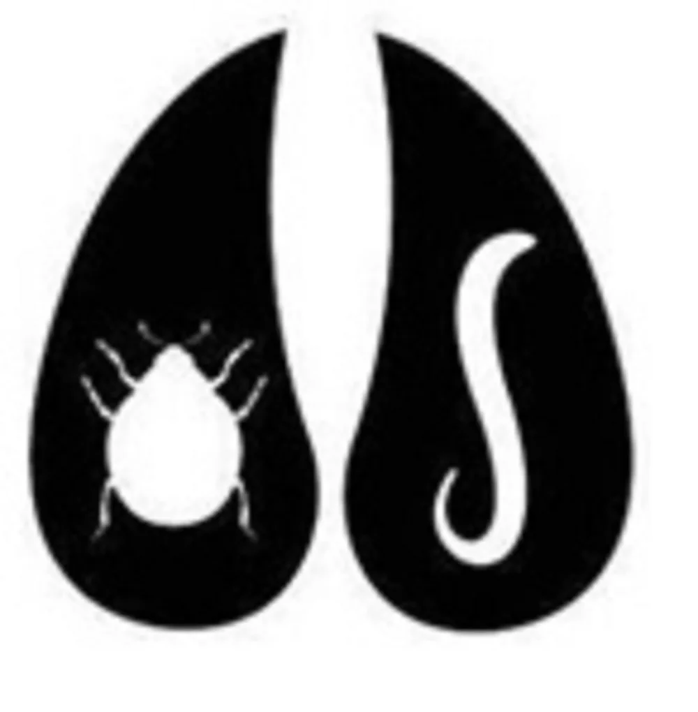 Acta 1584067