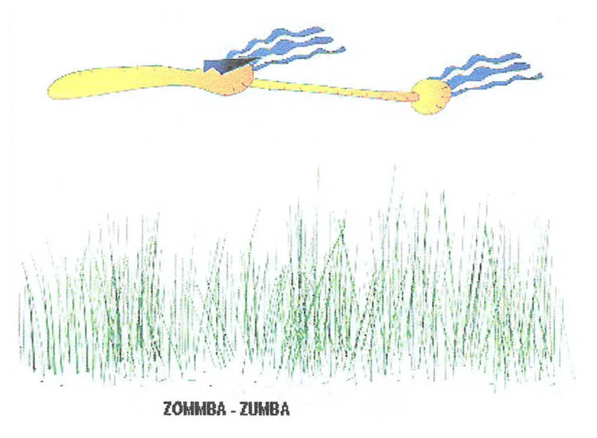 ZOOMBA-ZUMBA