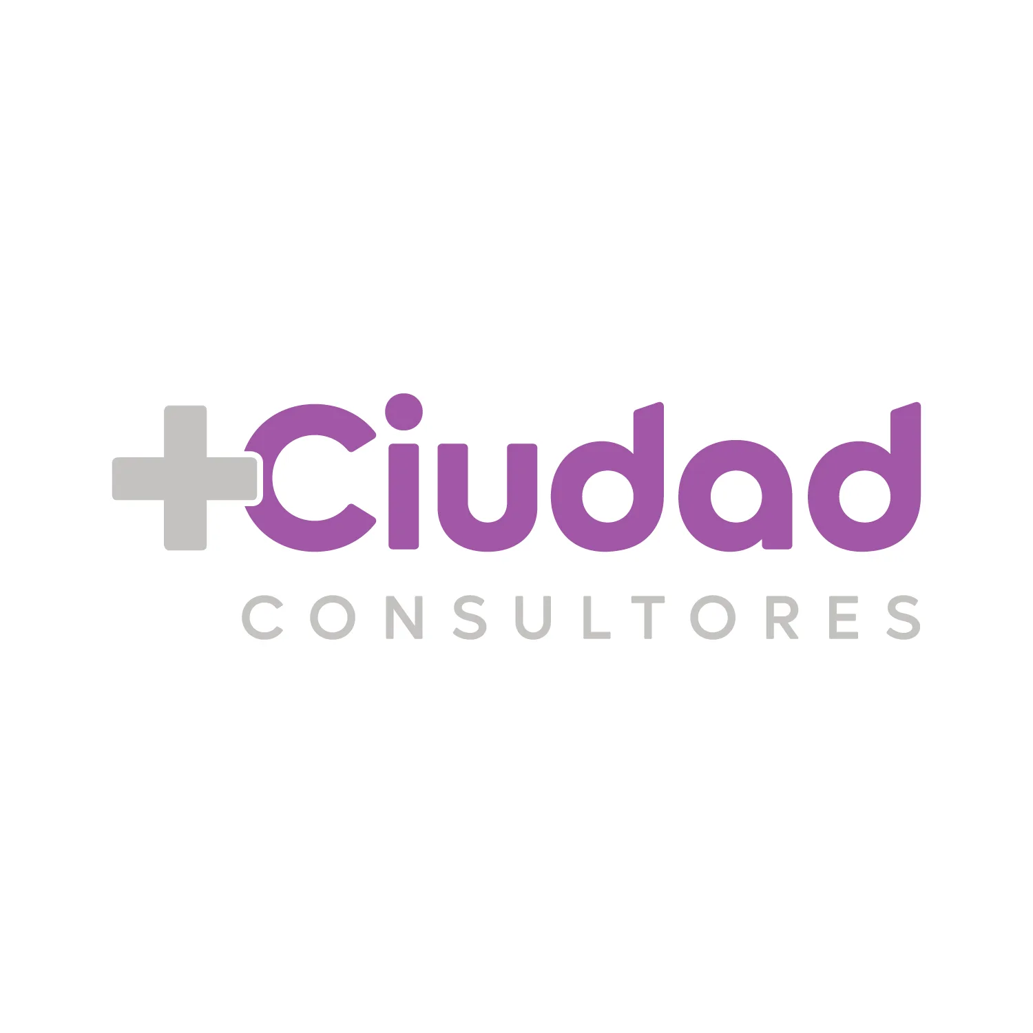 + Ciudad Consultores