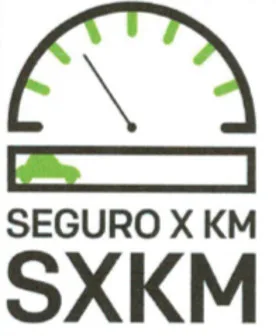 SEGURO X KM SXKM