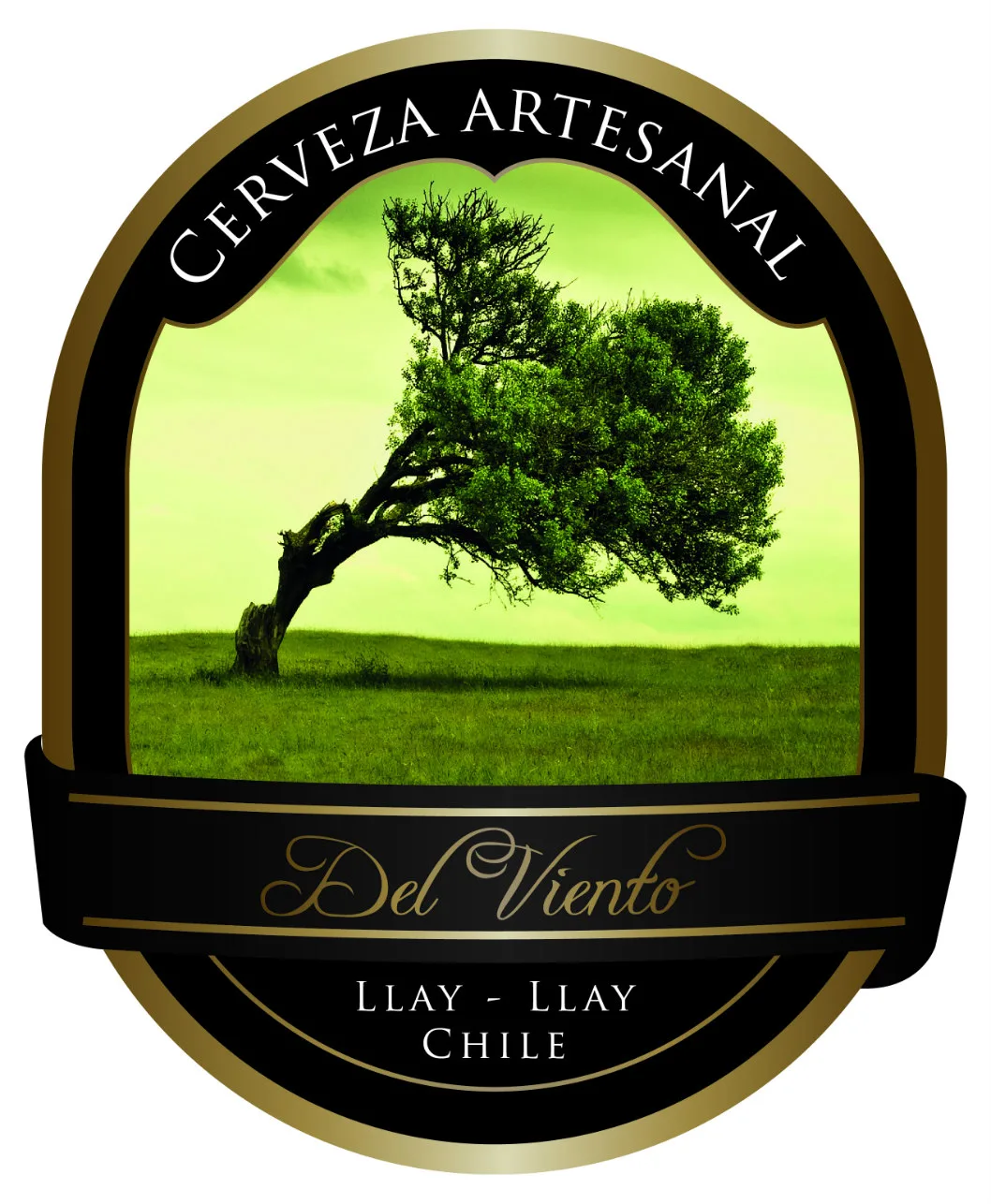 CERVEZA ARTESANAL DEL VIENTO