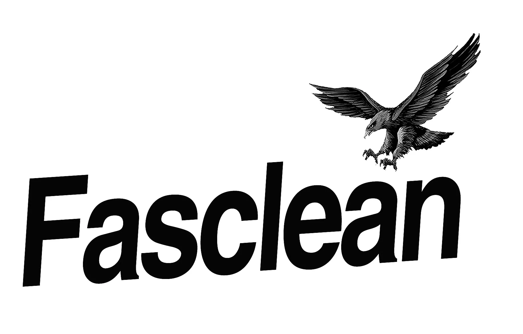 FASCLEAN