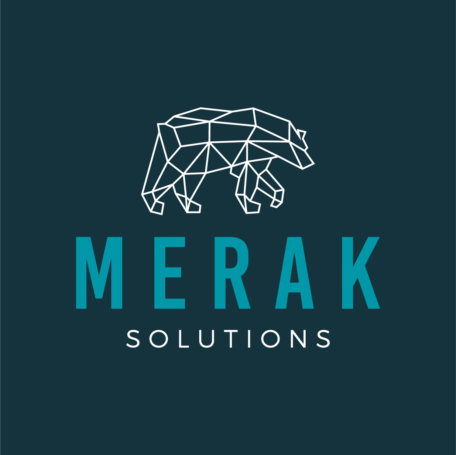 MERAK SOLUTIONS