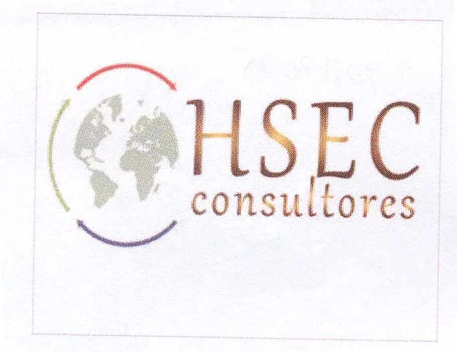 HSEC CONSULTORES