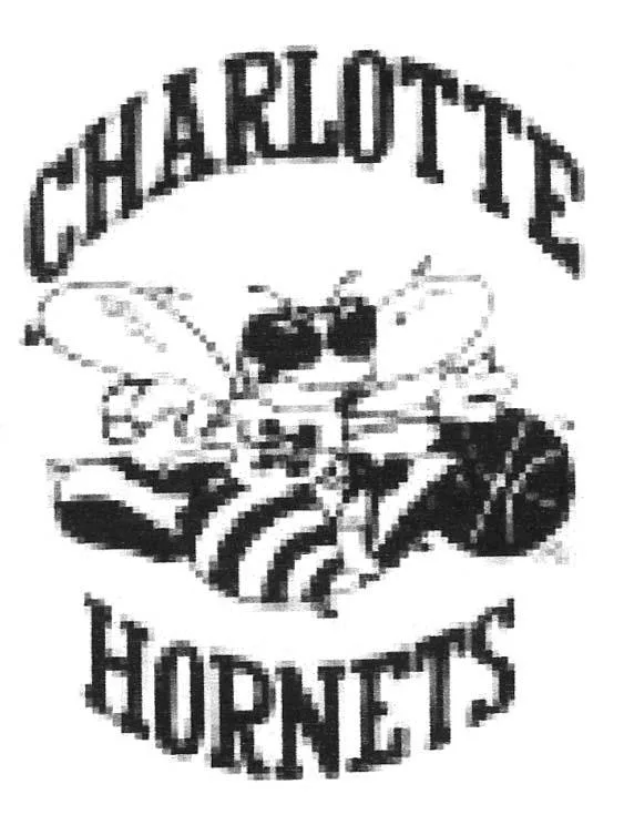 CHARLOTTE HORNETS