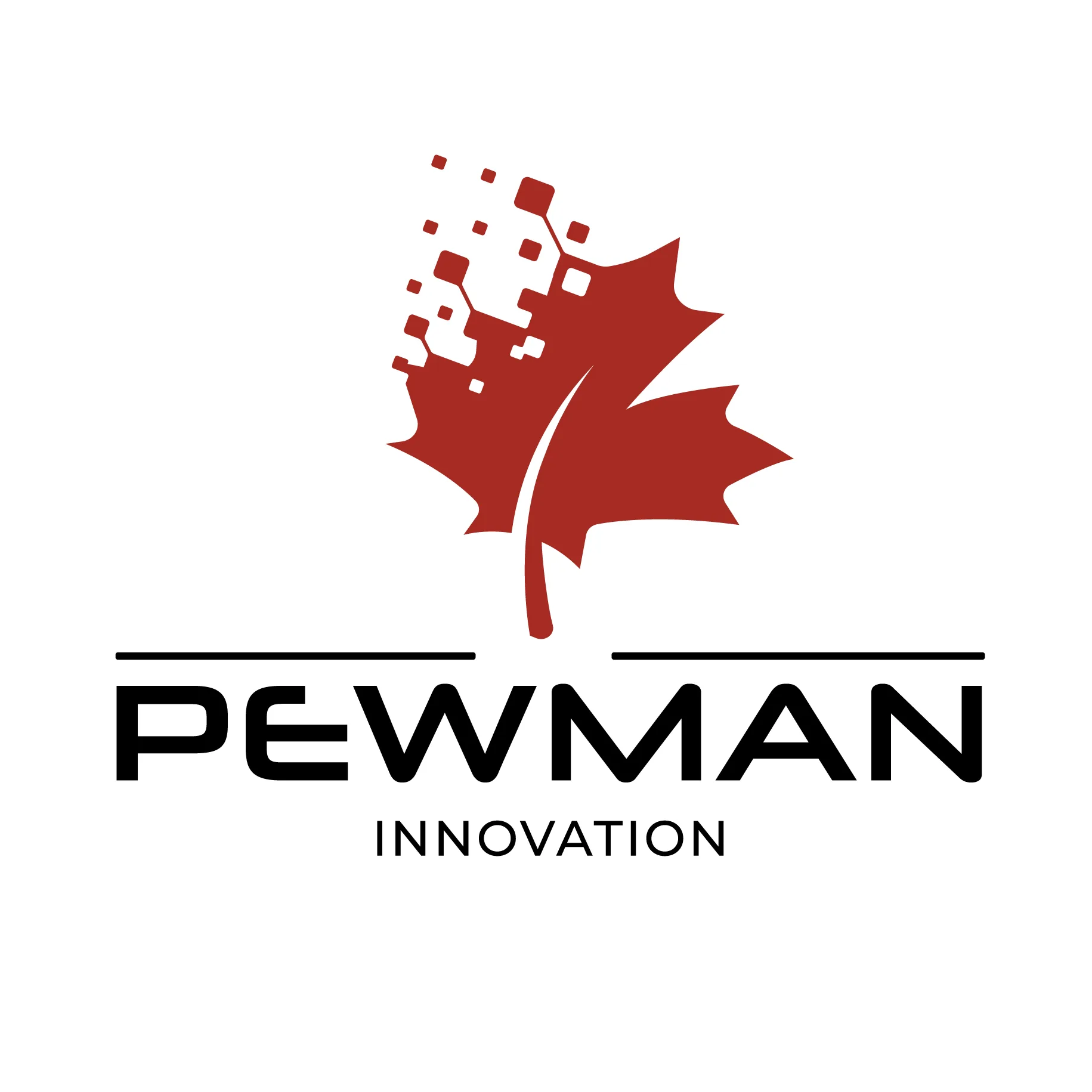 Pewman Innovation