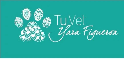 TUVET YARA FIGUEROA