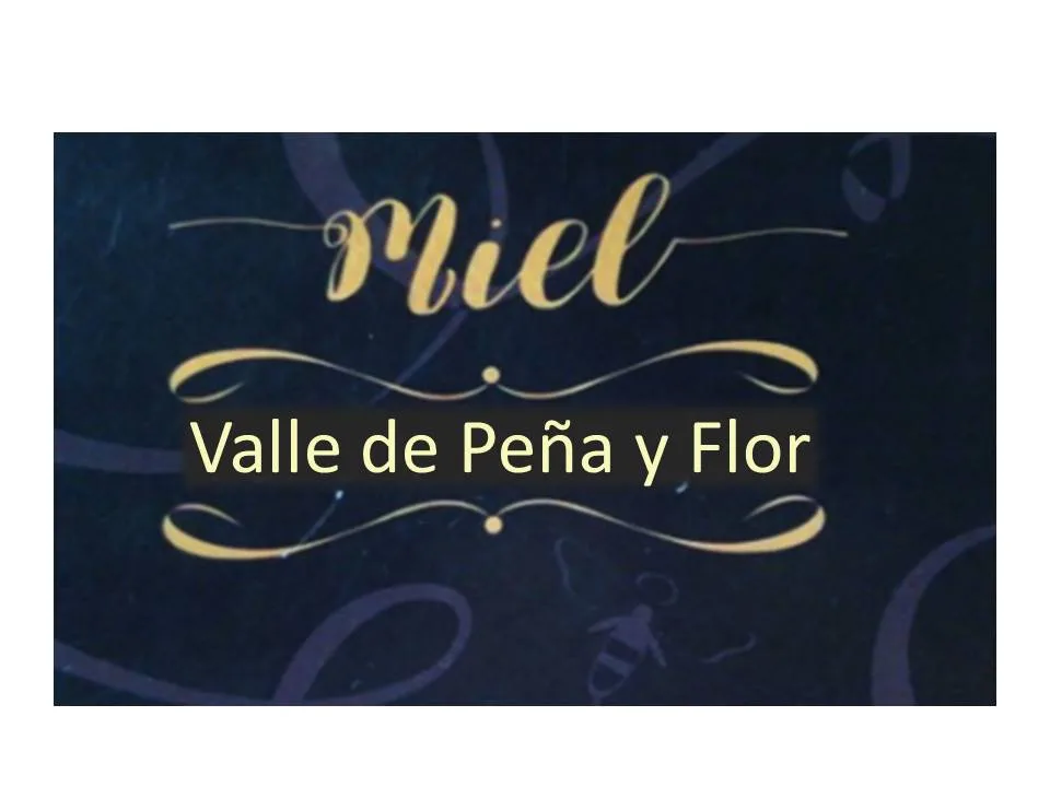MIEL Valle de Peña y Flor