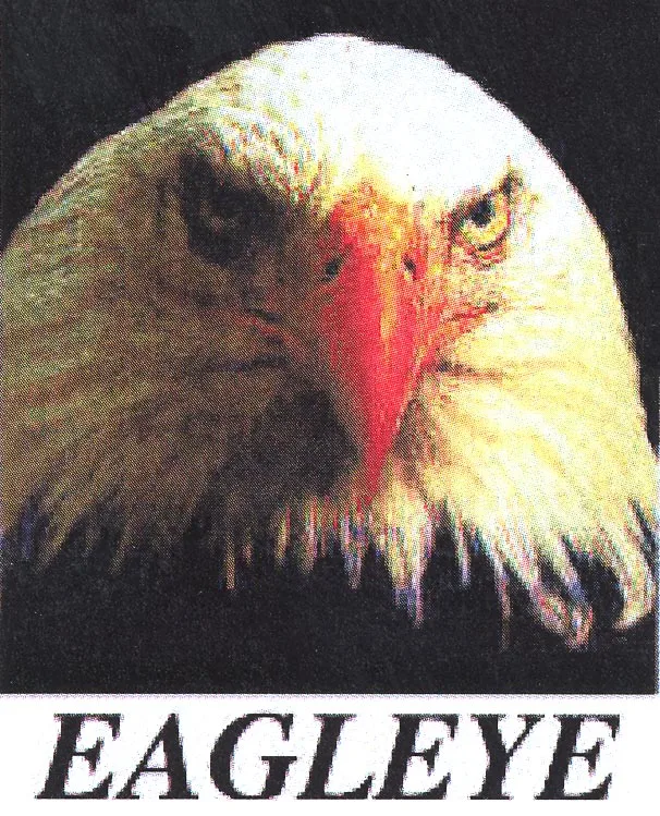 EAGLEYE