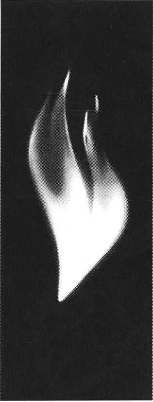 Acta 985078