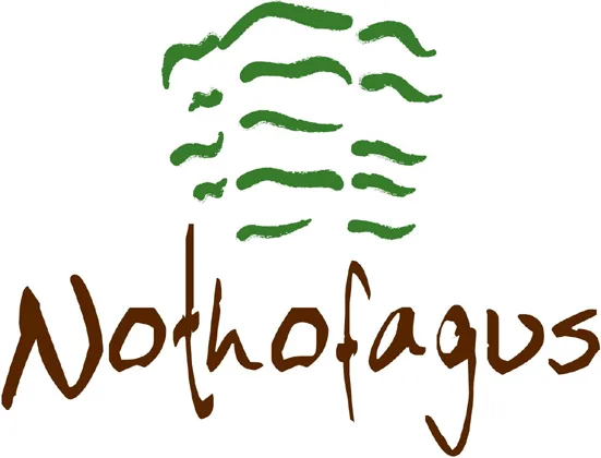 NOTHOFAGUS