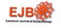EJB