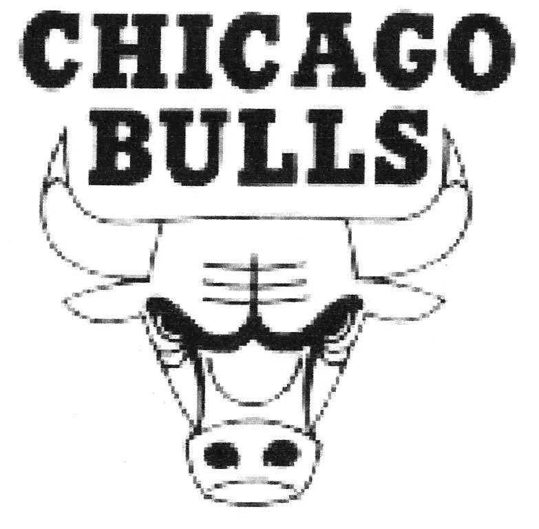 CHICAGO BULLS