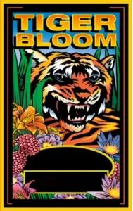 TIGER BLOOM