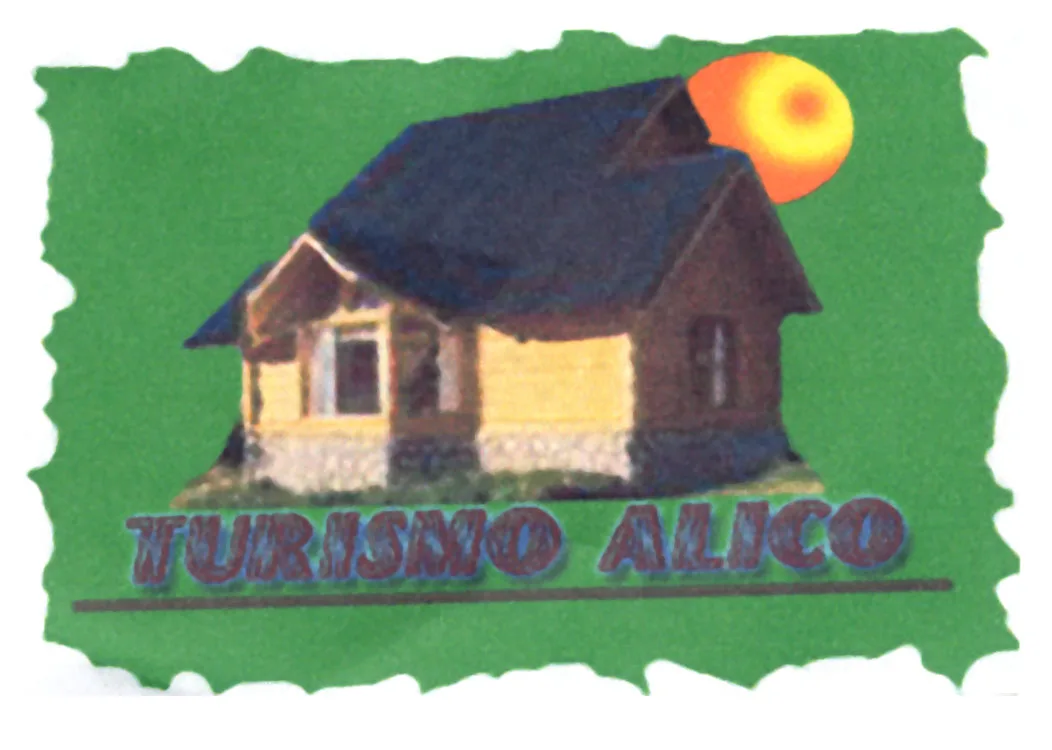 ALICO