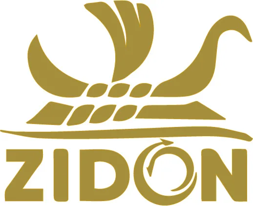 Zidon