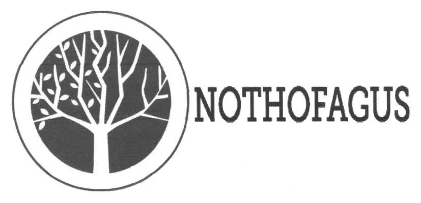 NOTHOFAGUS