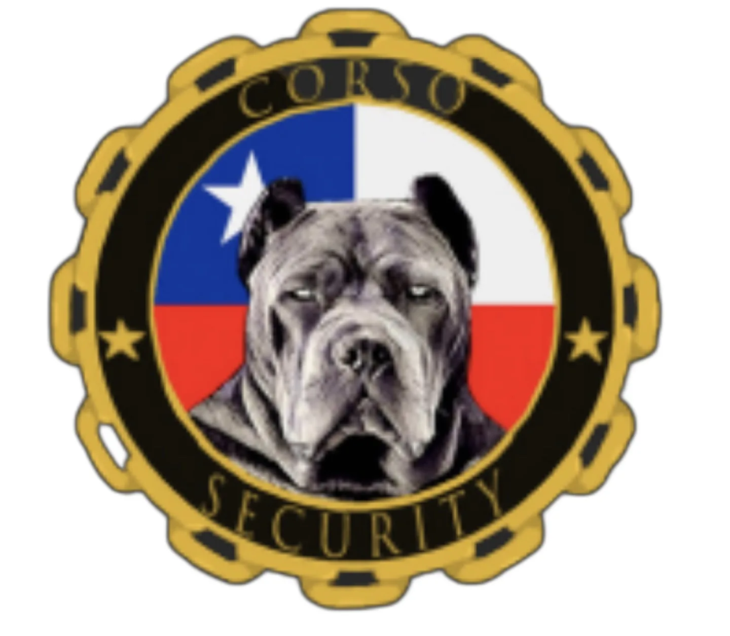 Corso Security