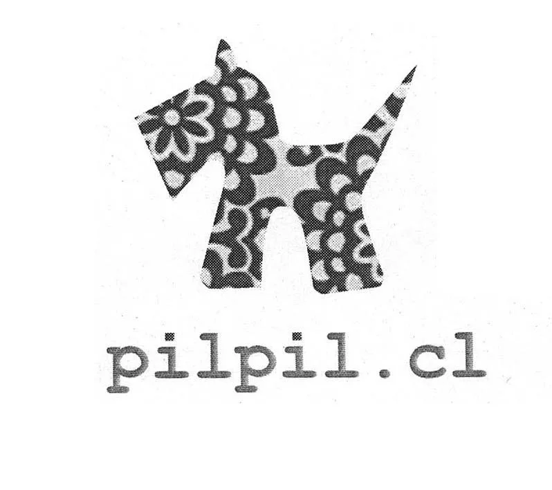 PILPIL.CL