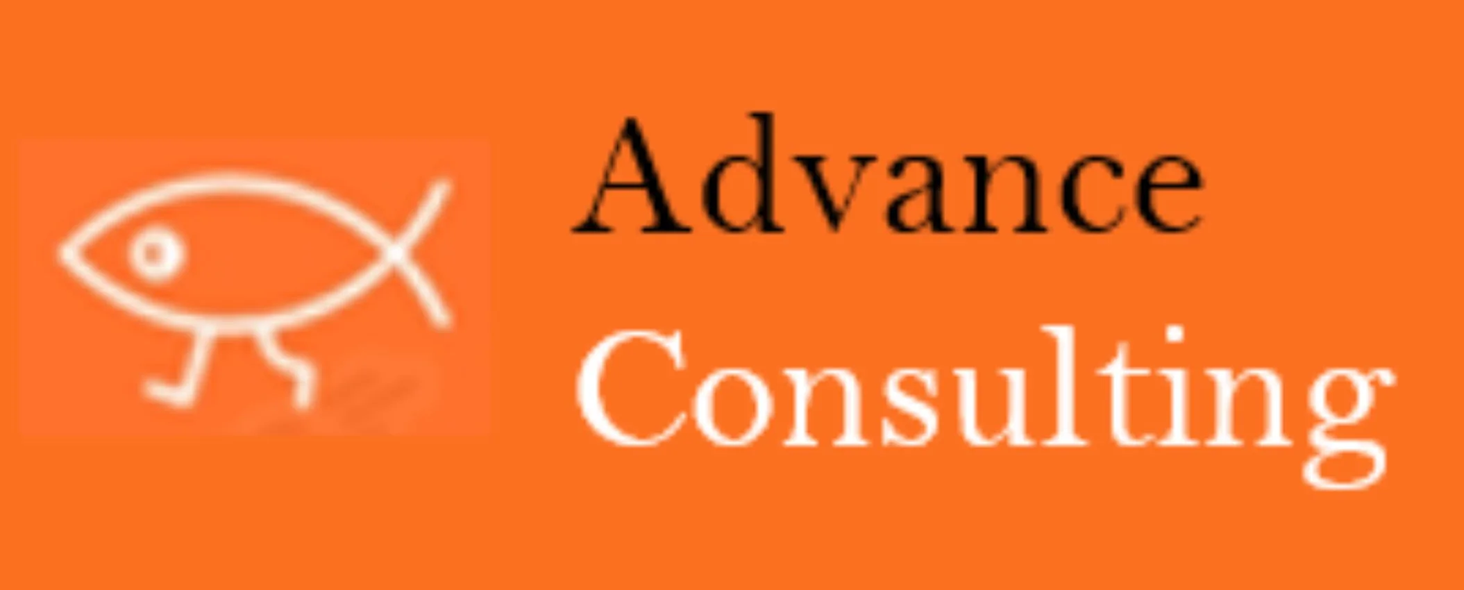 ADVANCE CONSULTING