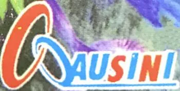 OOAUSINI