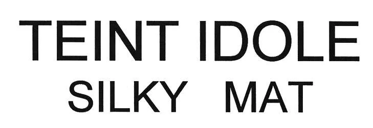 TEINT IDOLE SILKY MAT