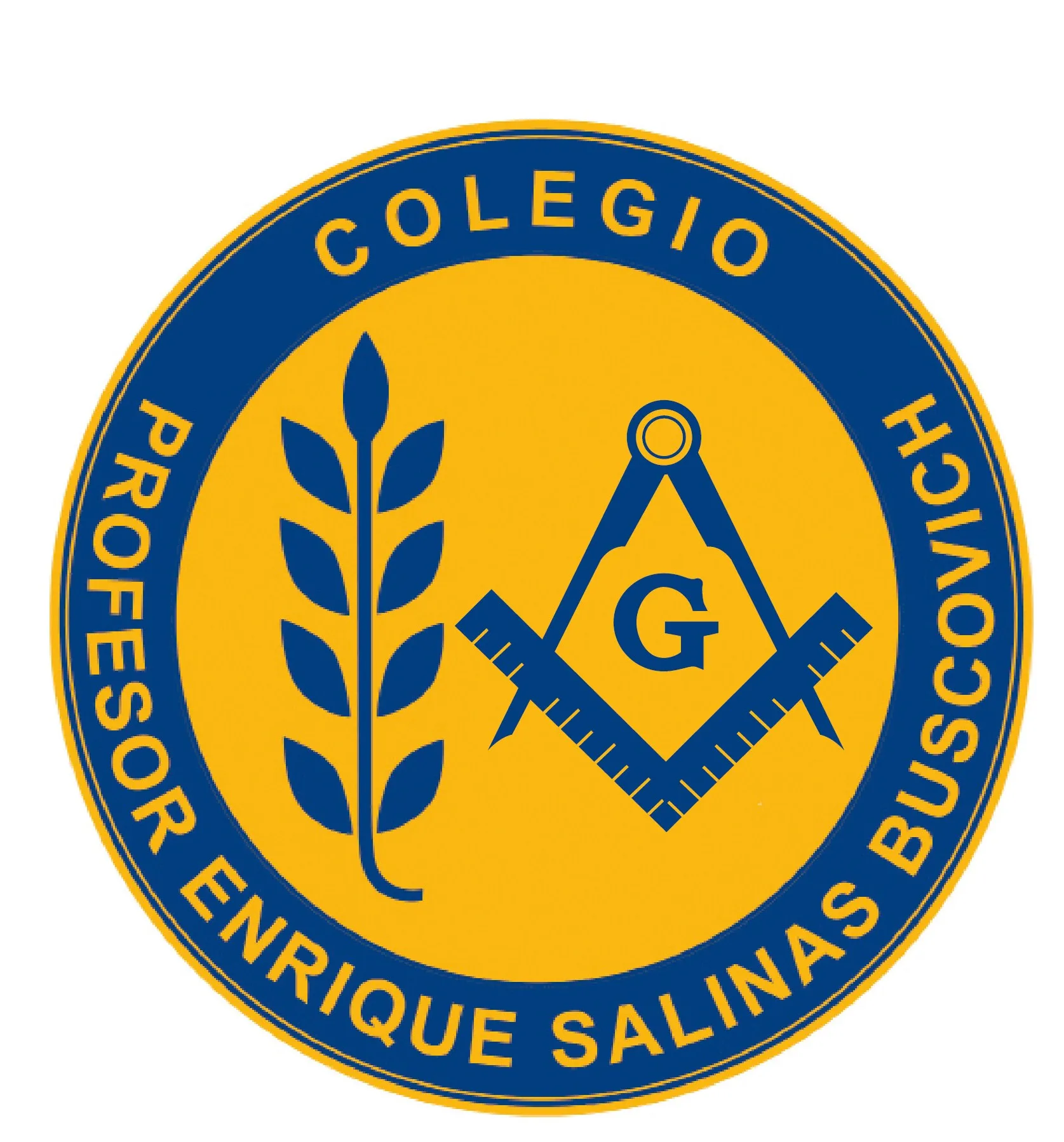 COLEGIO PROFESOR ENRIQUE SALINAS BUSCOVICH G