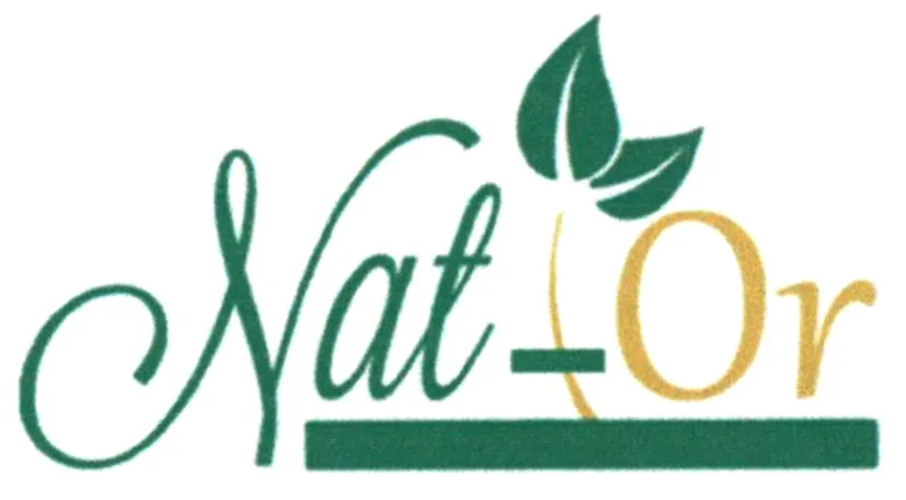 NAT-OR