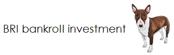 BRI BANKROLL INVESTMENT