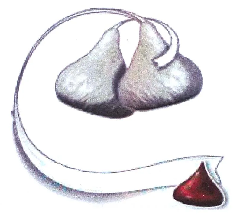 Acta 939093