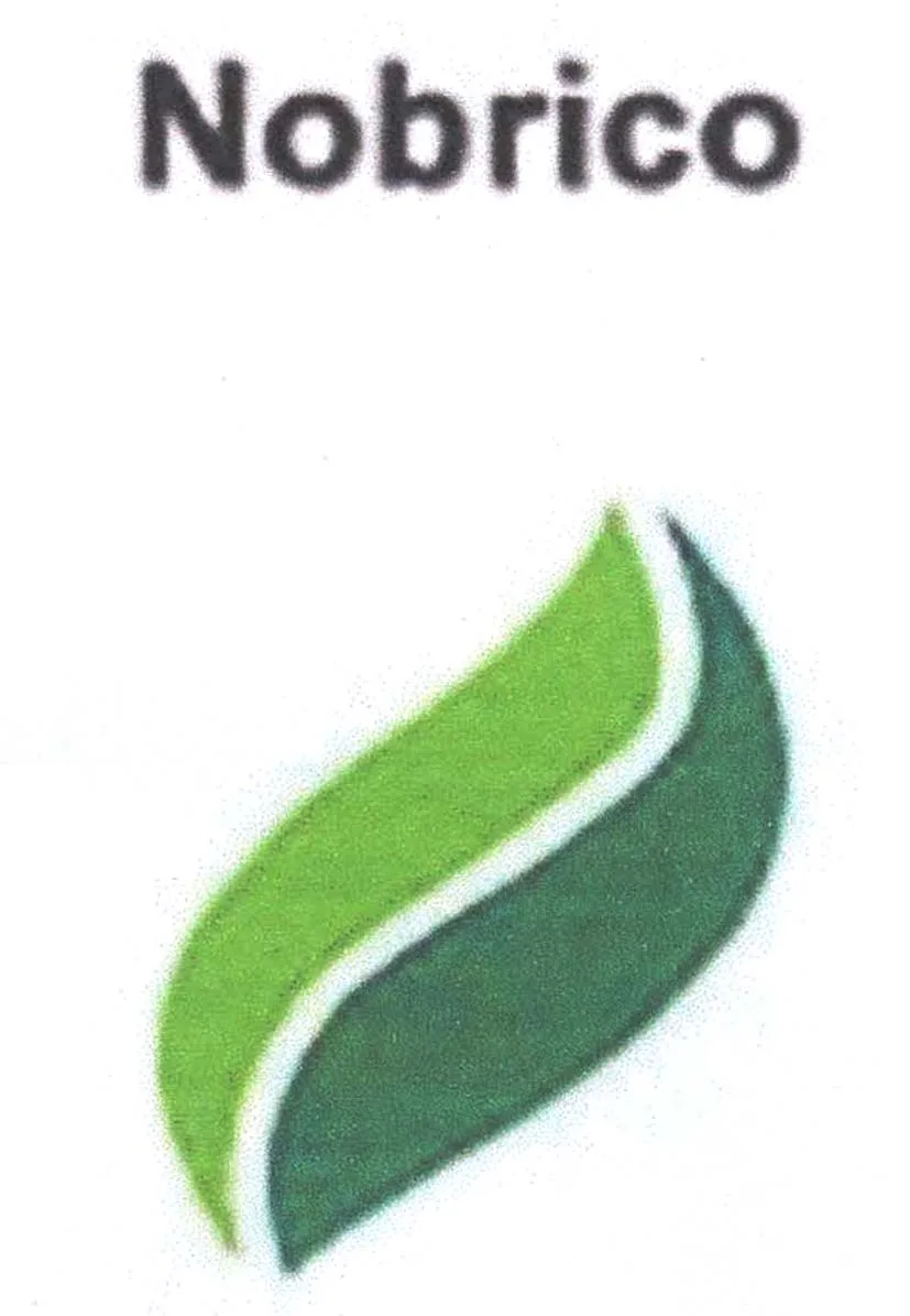Nobrico