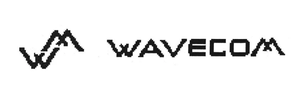 W M WAVECOM