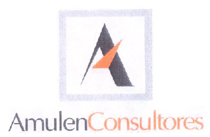 AMULEN CONSULTORES