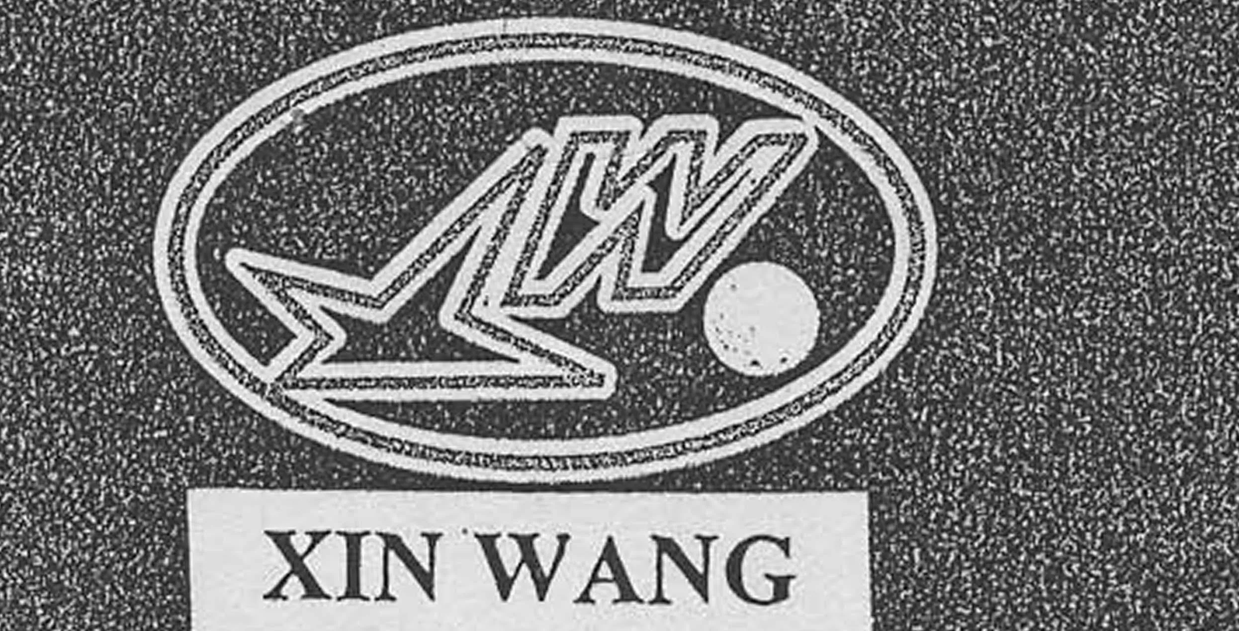 W XIN WANG