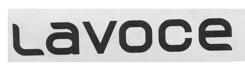 LAVOCE