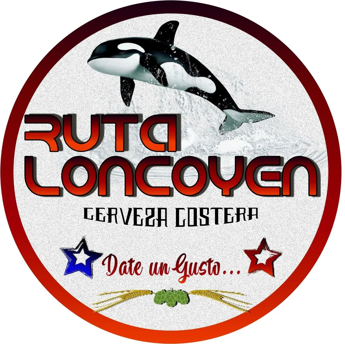 CERVEZA COSTERA RUTA LONCOYEN