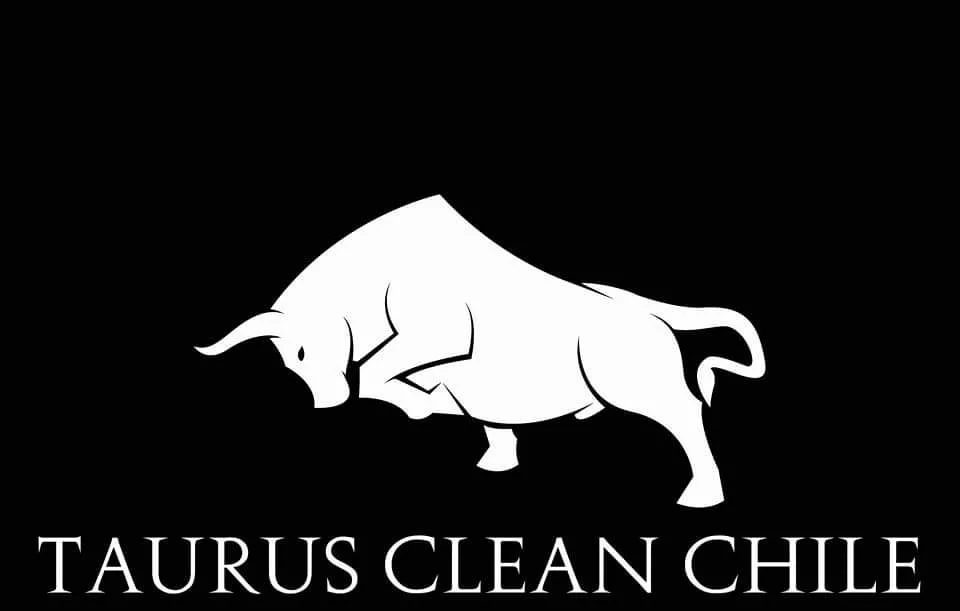 Taurus clean chile