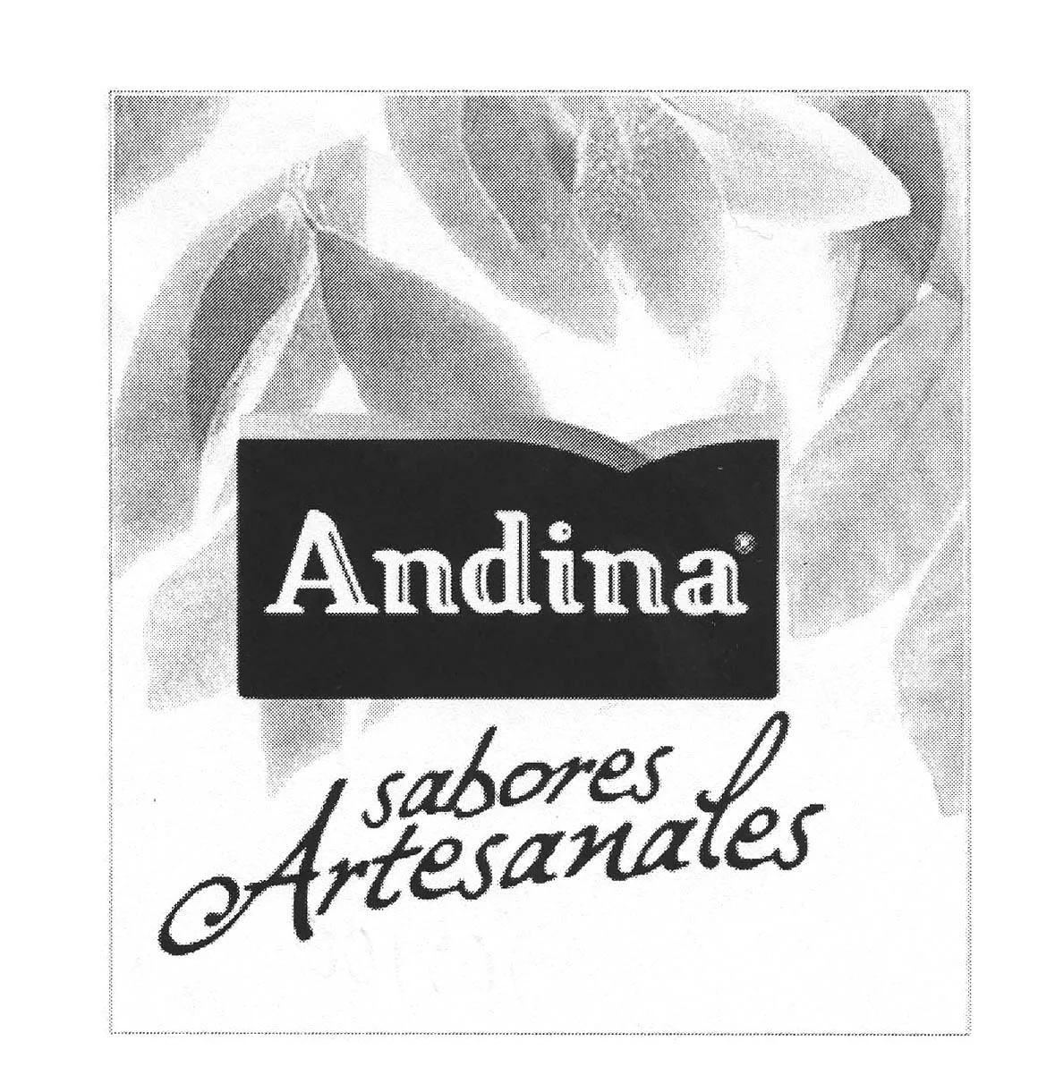 ANDINA SABORES ARTESANALES