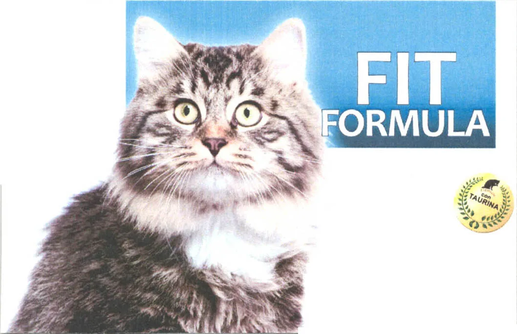 FIT FORMULA