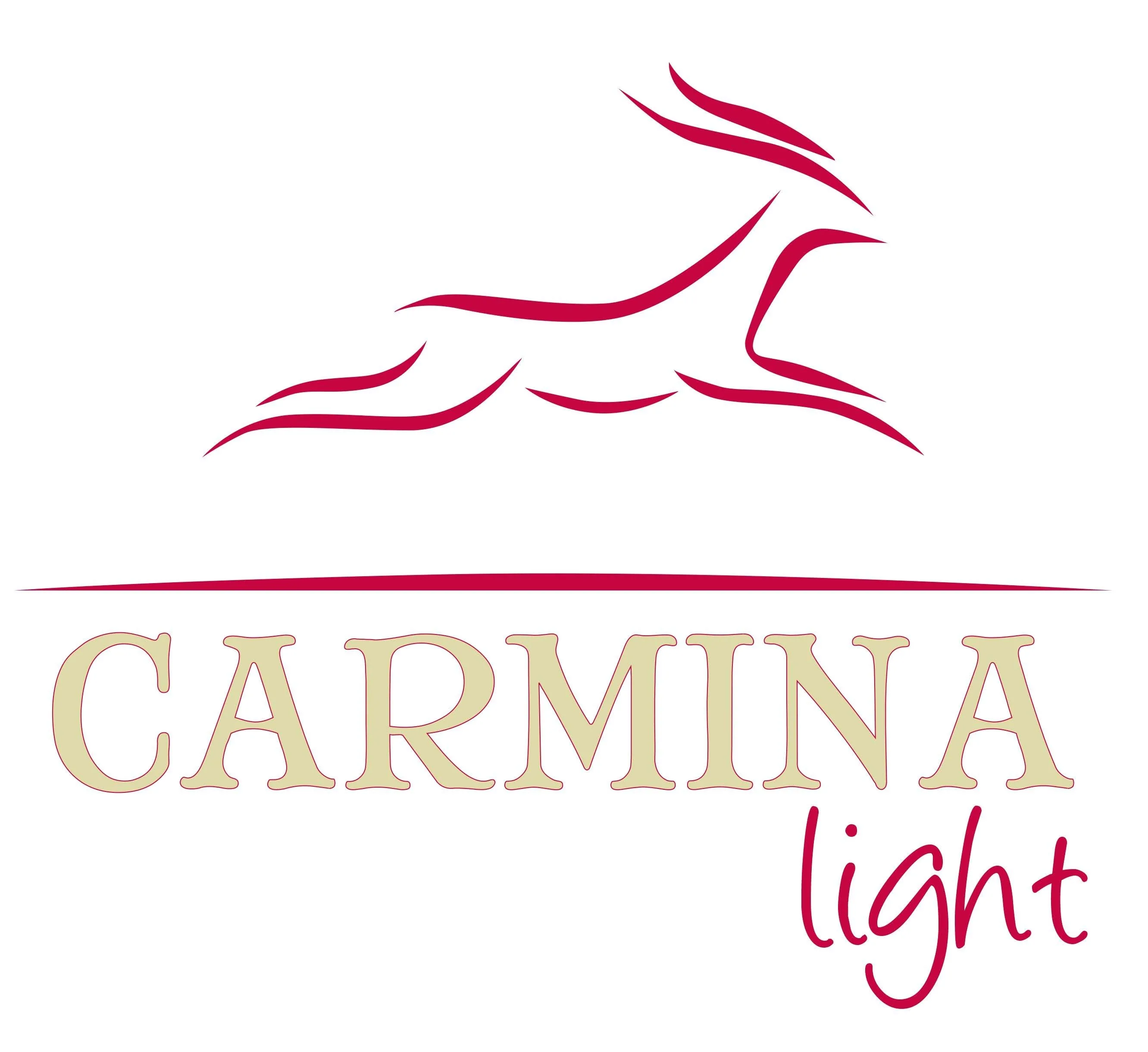 CARMINA LIGHT