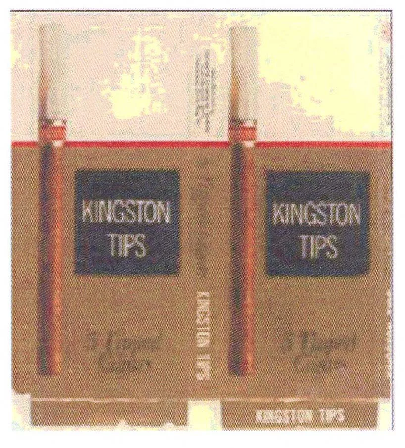 KINGSTON TIPS